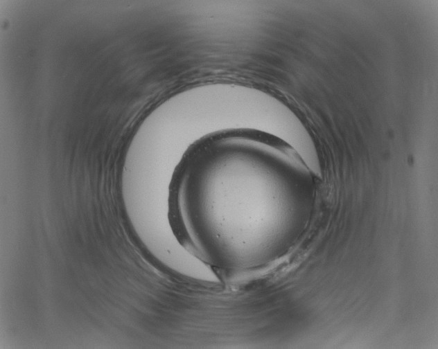 X0000061110474200512161418