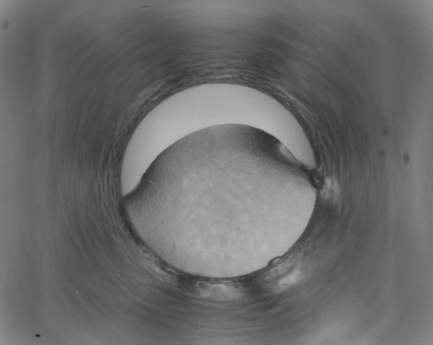 X0000061110475200512161418