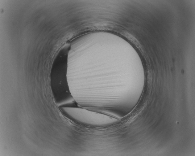 X0000061110481200512161417