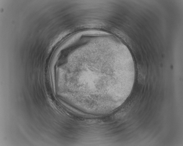 X0000061110482200512161417