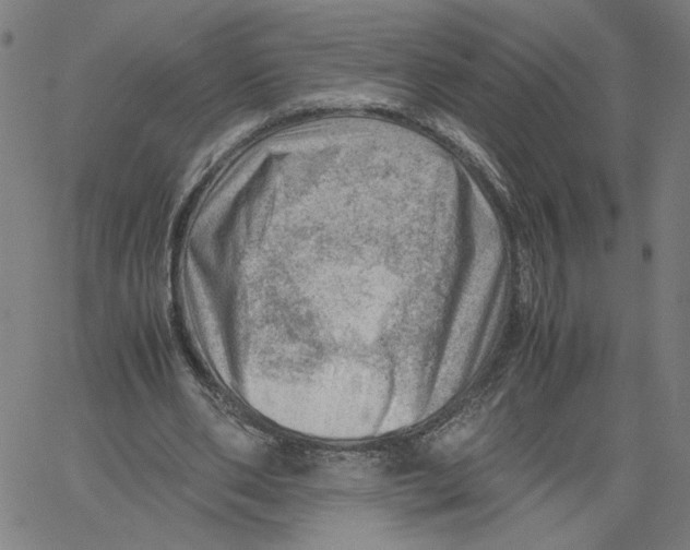 X0000061110486200512161417