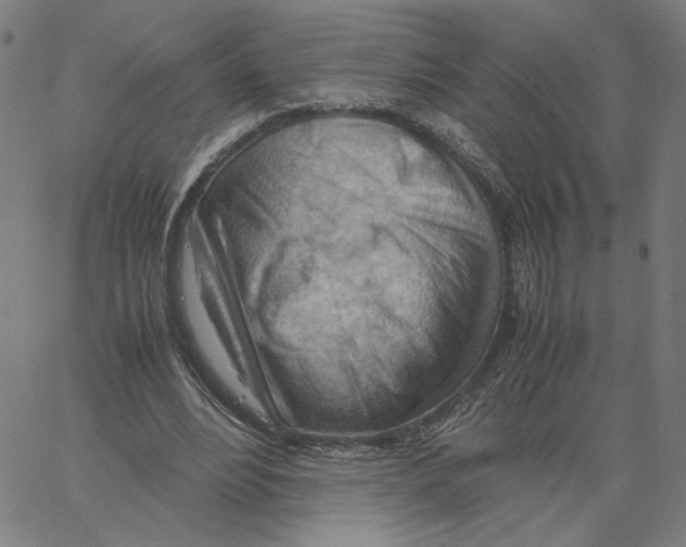 X0000061110488200512161417