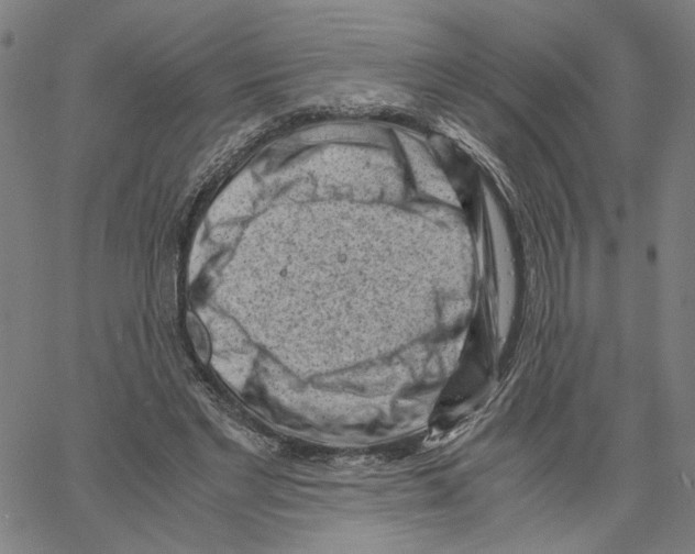 X0000061110493200512161417