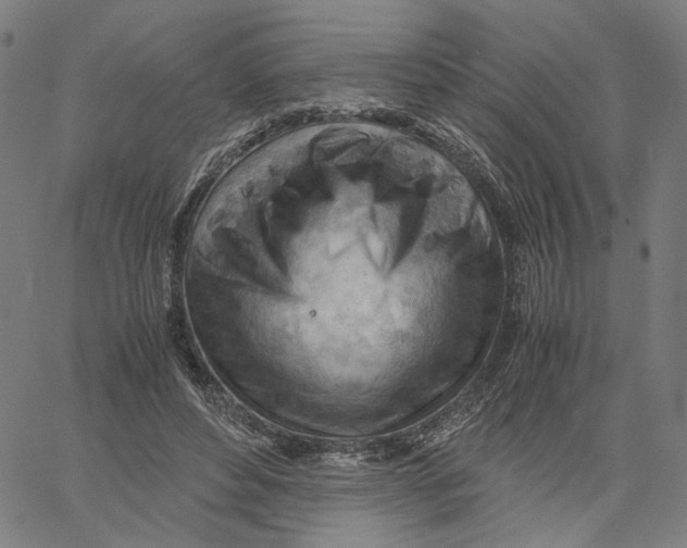 X0000061110496200512161417