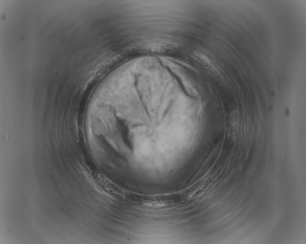 X0000061110500200512161417