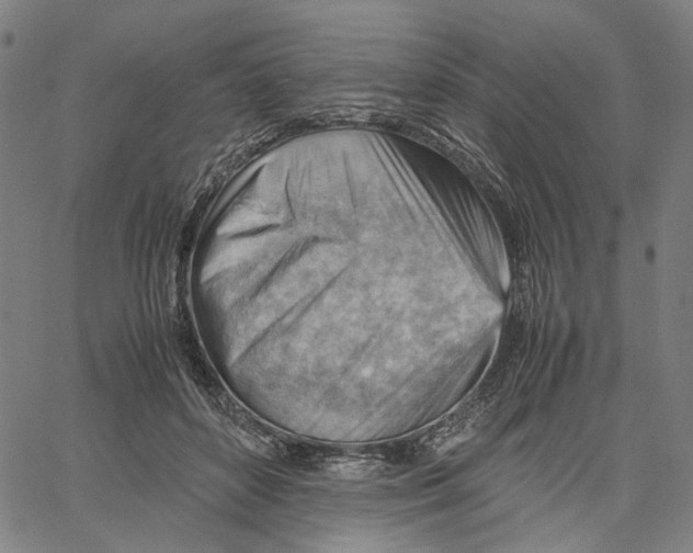 X0000061110504200512161417