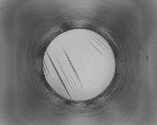 X0000061110505200512161417