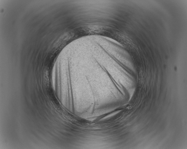 X0000061110506200512161417
