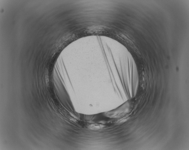 X0000061110508200512161417