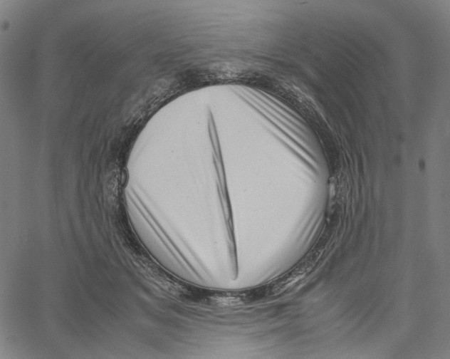 X0000061110509200512161417