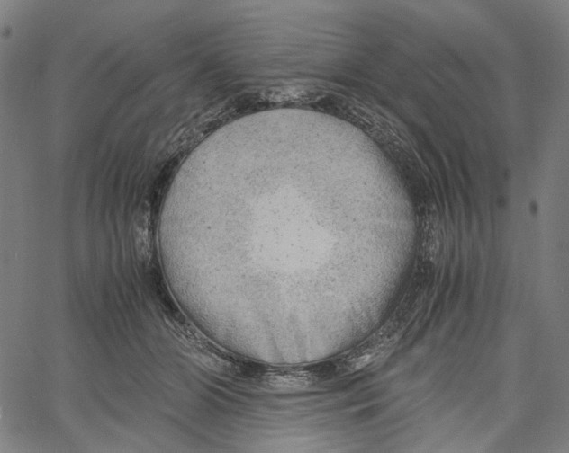 X0000061110510200512161417