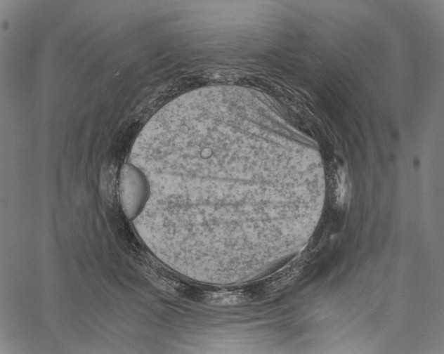 X0000061110511200512161417