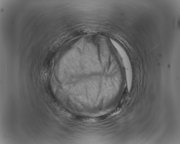 X0000061110513200512161417