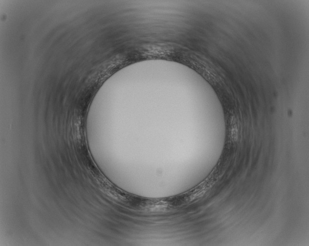 X0000061110514200512161417