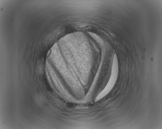 X0000061110515200512161417