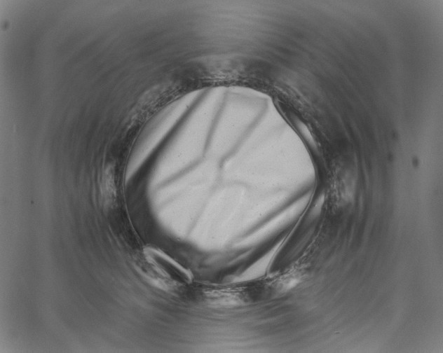 X0000061110516200512161417