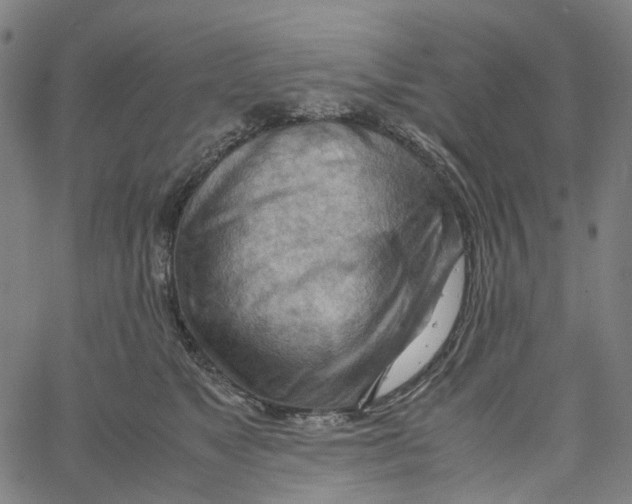 X0000061110517200512161417