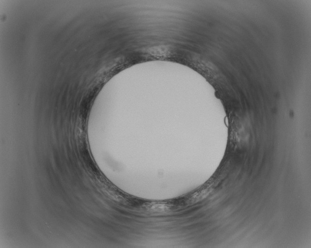 X0000061110518200512161417