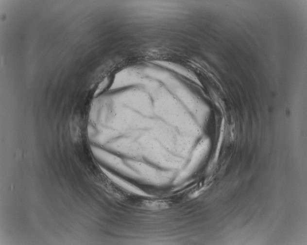 X0000061110520200512161417