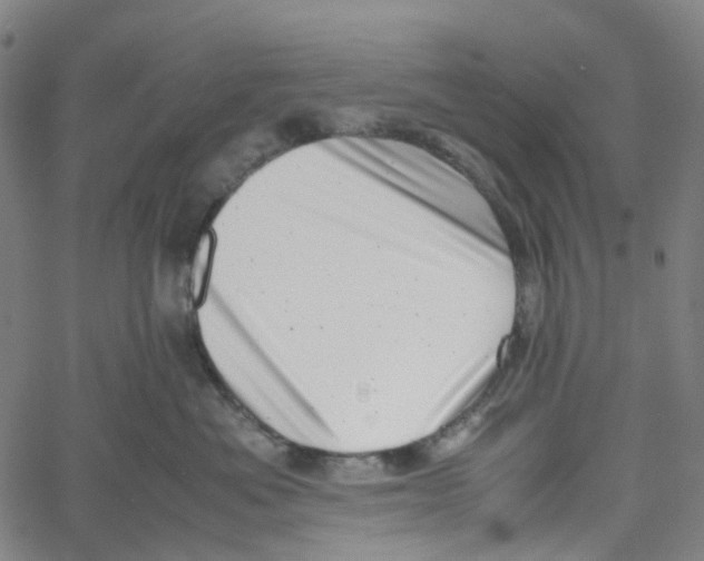 X0000061110525200512161417