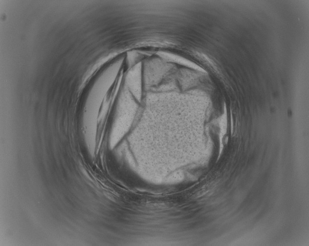 X0000061110531200512161416