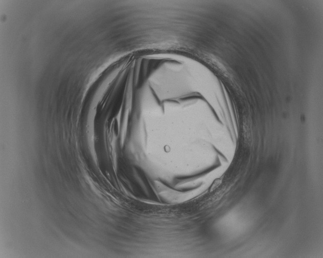 X0000061110532200512161416