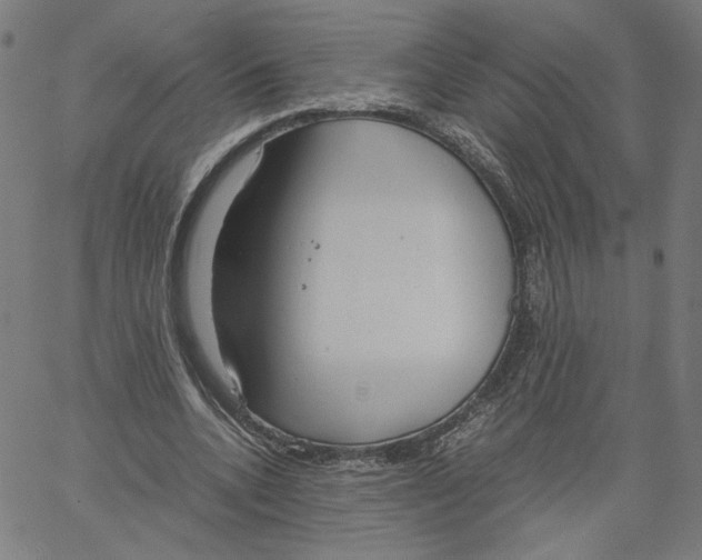X0000061110536200512161416