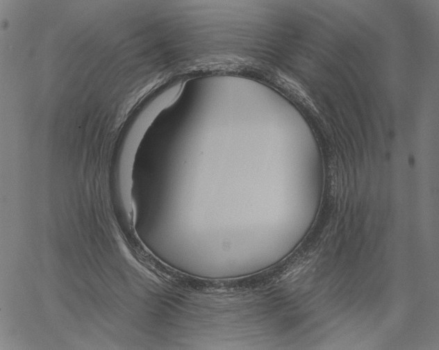 X0000061110538200512161416