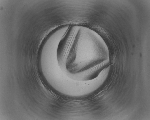 X0000061110540200512161416