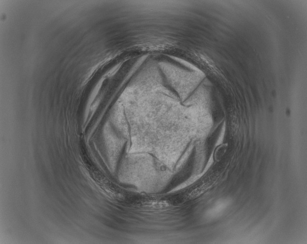 X0000061110543200512161416