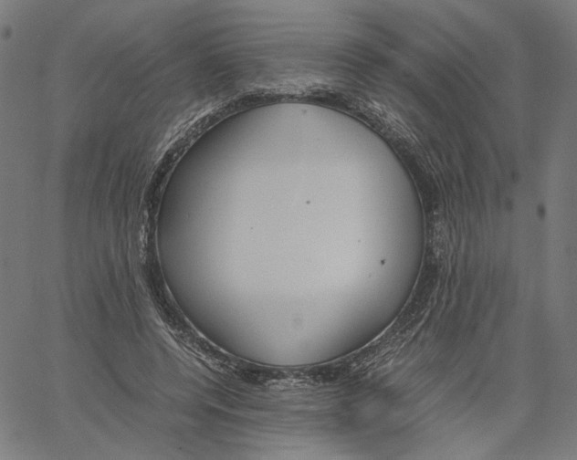X0000061110544200512161416