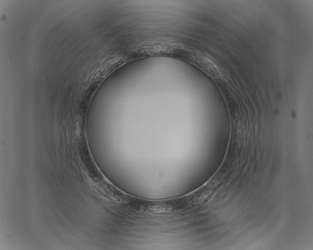 X0000061110546200512161416