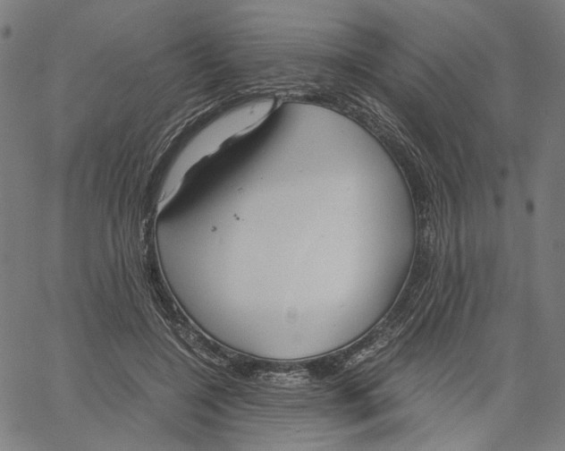 X0000061110548200512161416