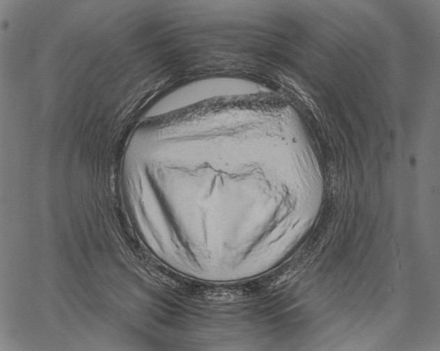 X0000061110549200512161416