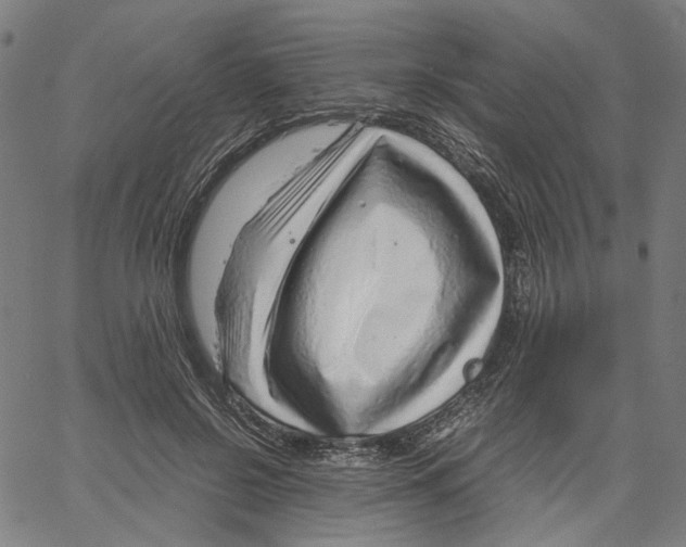X0000061110550200512161416