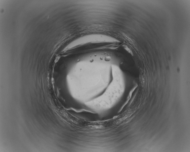 X0000061110552200512161416