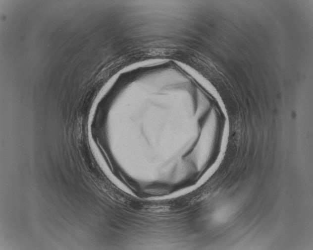 X0000061110554200512161416