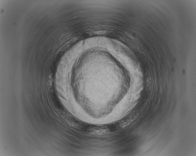 X0000061110555200512161416