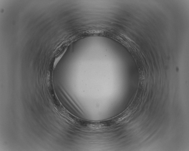 X0000061110556200512161416