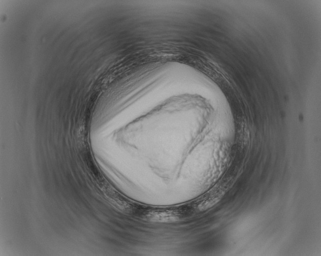 X0000061110557200512161416
