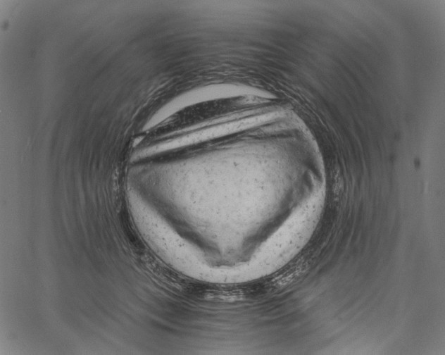 X0000061110559200512161416