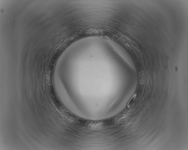X0000061110560200512161416