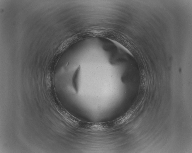 X0000061110562200512161416