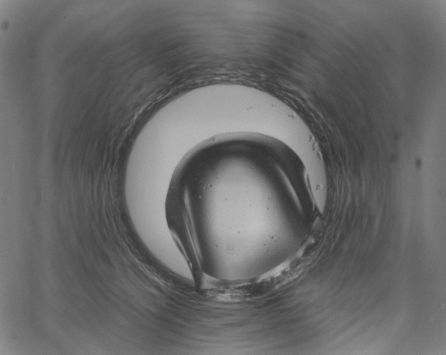 X0000061110564200512161416