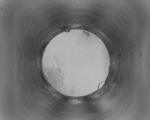 X0000061110565200512161416