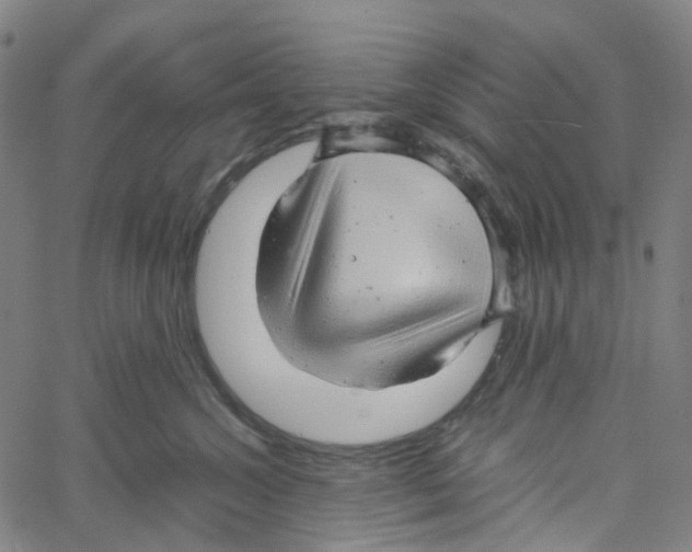 X0000061110572200512161416