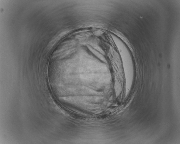 X0000061110577200512161416