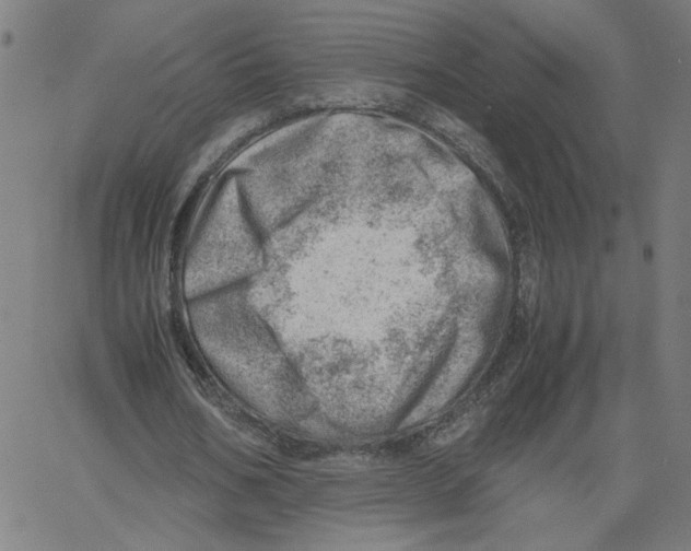 X0000061110578200512161416