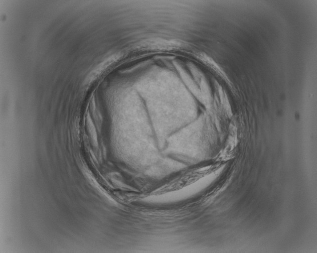 X0000061110581200512161416