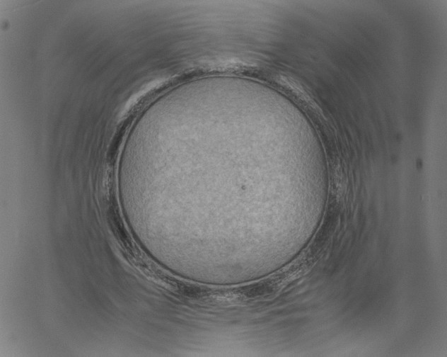 X0000061110583200512161416